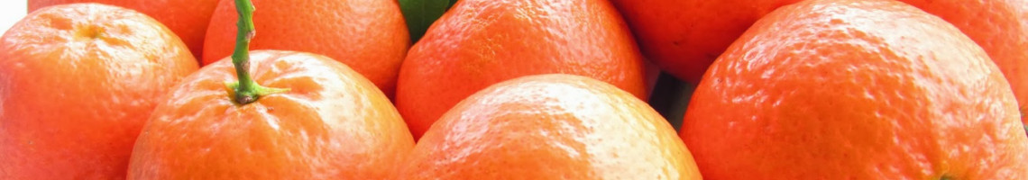 7 motivos para consumir Laranja Moro