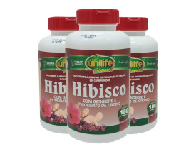 hibisco-com-gengibre-180-comprimidos-kit-com-3.jpeg