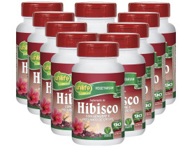 Hibisco com Gengibre 90 comprimidos de 500mg Kit com 10 Frascos