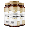 colageno-tipo-2-kit-3.png